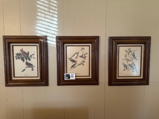 Vintage Audubon set of 4 Framed Bird Prints