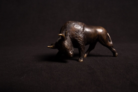 Bronze Toro