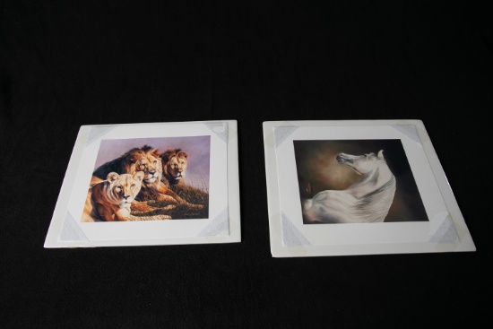 Kim Norton Prints