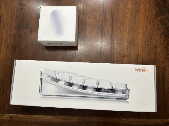 Apple Mighty Mouse and Wireless Keyboard