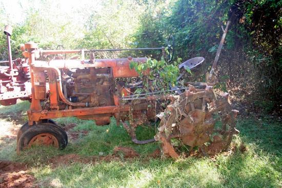 Farmall F 20 Tractor