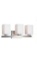 pallet of 36 pcs new vanity lights brushed nickel LFP301177