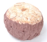 Wonderful Perfectly Preserved Ancient Dinosaur Egg