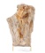 Wonderful Prehistoric Fossilized Petrified Wood