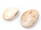 Pair of Ancient Fossilized Clams