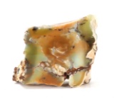 Gorgeous Well Preserved Australian Opal Section