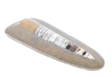 Finely Polished Orthoceras Fossil