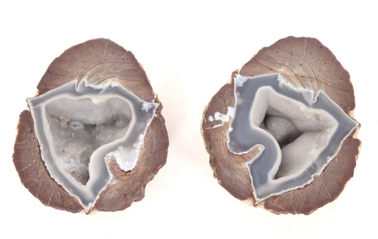 Cut 'Egg' Dugway Geode Mineral Specimen