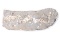 Handsome Ichthyosaur Tail Fossil in Matrix
