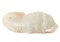 Gorgeous Chinese Nephrite Jade Fish Pendant