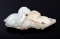Certified Chinese Nephrite Jade Pendant