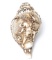 Vajrayogini Buddha Conch Shell Horn