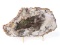 Gorgeous Petrified Wood Slab w/Stand
