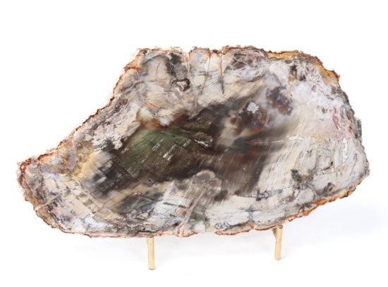 Gorgeous Petrified Wood Slab w/Stand