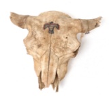 Painted Native American Buffalo Skull