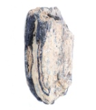 Ancient Woolly Mammoth Molar Section