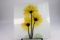 Sunflowers on Glass