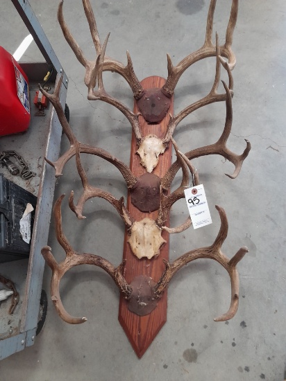 DEER SKULL CAP MOUNTS