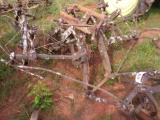 2 Row cultivator