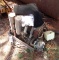 Kubota engine
