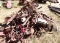 Pile of Farmall cultivator parts