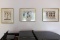 Collection of Hand Painted Egyptian Art on Papyrus