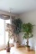 Faux Tree Plants