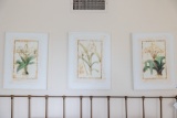 Art Pictures