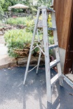 Metal 6' Ladder