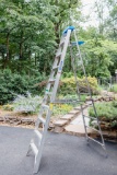 Werner 8' Ladder