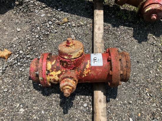 Darling #5 Antique Fire Hydrant