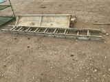 20' Aluminum Ladder