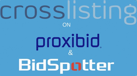 PLEASE READ BEFORE PLACING A BID!