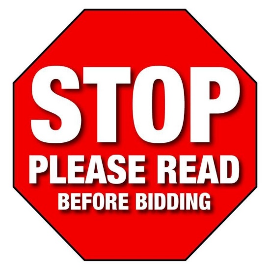 Please Read Before Placing A Bid!