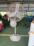 TPI Fan - Starter Bad