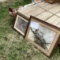 Animal Framed Art