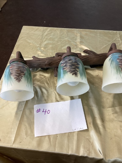 Pine Cone Rustic Light