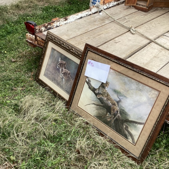 Animal Framed Art