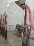 Mirror Sliding Doors