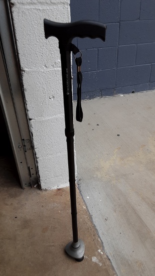 The Hurrycane Walking Cane