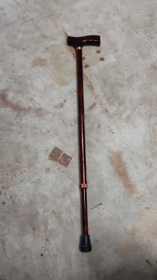 Walking Cane