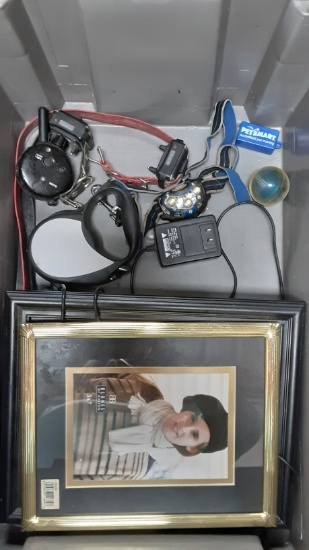 Electronic Picture Frame, Picture Frame, Shock Collar, Leash