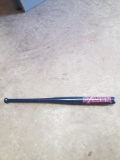 Kingsport Axmen small bat