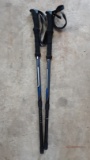Cascade Hiking Sticks