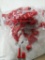 Red Plastic Bolt Seal- 30 count
