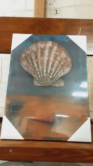 Canvas Art Shells