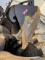 12' Bobcat Excavator Bucket Off Bobcat E35