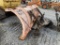 11' Plow Off International Dump Truck