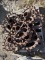 Skid Of Crowsfoot Wheels