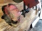 Sm. Engine Equipment-Red Max BCZ260TS Trimmer